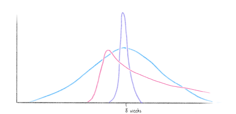 Graph of several probability distributions